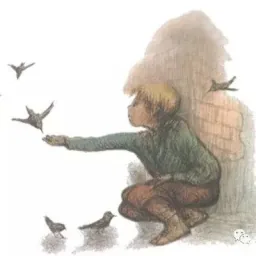 鸟街上的孤岛